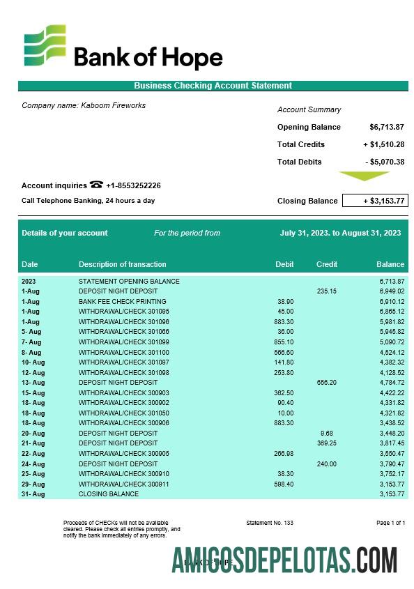Baixável Bank Of Hope Company Verificando extrato de conta modelo Word e PDF